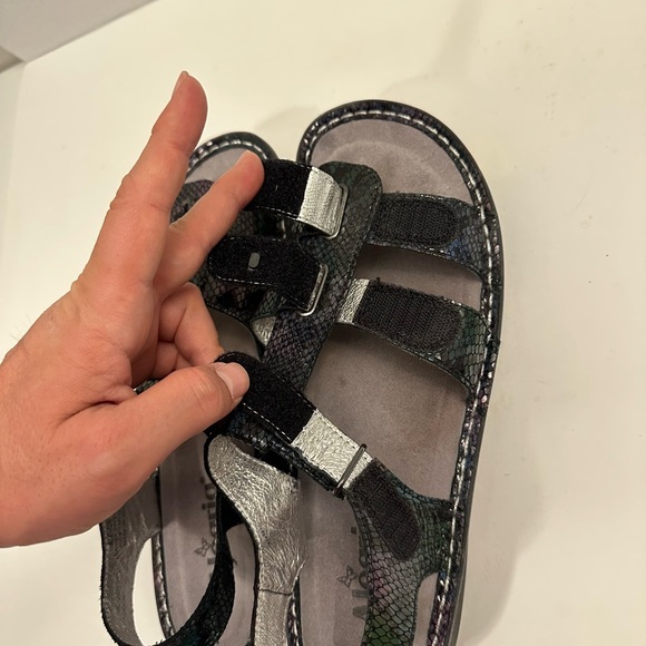 Alegria Sandals Kleo Special Serpent | Snake Skin | Size EUR 42 - US 10.5/11 - Picture 12 of 14